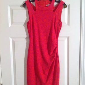 BEAUTIFUL Cache dress - NWT